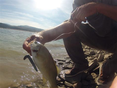 fishing rockport reservoir utah